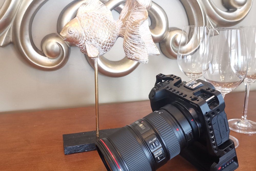 Canon EOS RP + cage + CustomBatteryGrips Cage Battery Add-On = extreme battery life